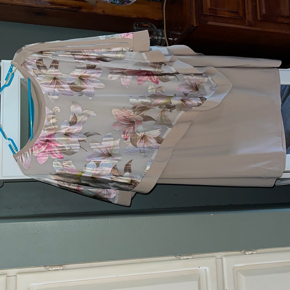 NWT plus size special occasion dress
